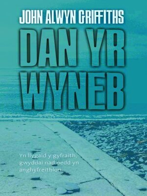 cover image of Dan yr Wyneb